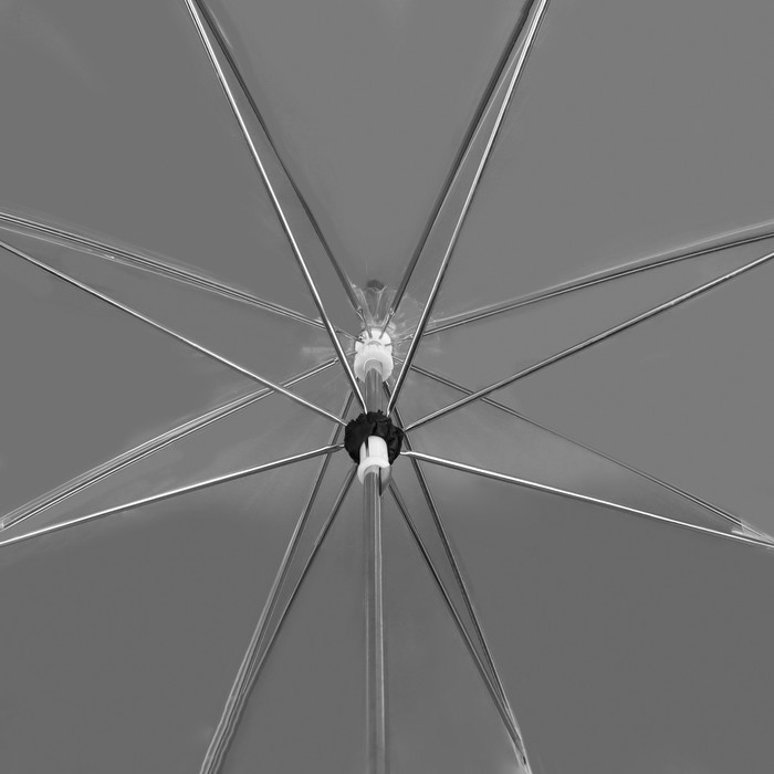 Зонт - трость полуавтоматический «Кант», 8 спиц, R = 43 см, цвет чёрный/прозрачный - фото 1883341811