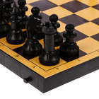 Настольная игра 2 в 1 "Семейная": шахматы, шашки, доска пластик 30 х 30 см - фото 3809824