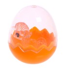 Пони в яйце, МИКС - фото 8365906