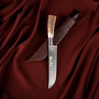 Нож Пчак Шархон, рукоять из рога косули малая, гарда с гравировкой - фото 11880081