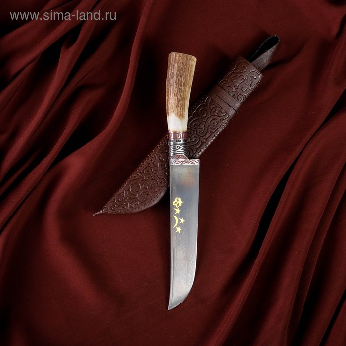 Нож Пчак Шархон, рукоять из рога косули малая, гарда с гравировкой - Фото 1