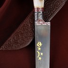 Нож Пчак Шархон, рукоять из рога косули малая, гарда с гравировкой - Фото 2