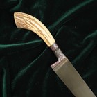 Нож Пчак Шархон, рукоять из рога косули малая, гарда с гравировкой - Фото 12