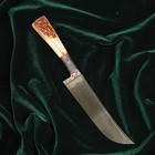 Нож Пчак Шархон, рукоять из рога косули малая, гарда с гравировкой - Фото 17