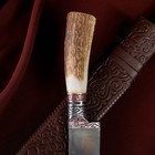 Нож Пчак Шархон, рукоять из рога косули малая, гарда с гравировкой - Фото 3