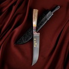 Нож Пчак Шархон, рукоять из рога косули малая, гарда с гравировкой - Фото 4
