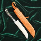 Нож Пчак Шархон - Чирчик, олово, оргстекло - Фото 8