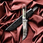Нож Пчак Шархон средний, рукоять из оргстекла, гарда из олова, заточка от середины - Фото 1
