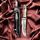 Нож Пчак Шархон средний, рукоять из оргстекла, гарда из олова, заточка от середины - Фото 2