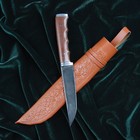 Нож Пчак Шархон - прямой, узкий, под пальцы - Фото 7