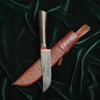 Нож Пчак Шархон Граб черный, сухма гарда олово мини (гравировка) У8 - Фото 1