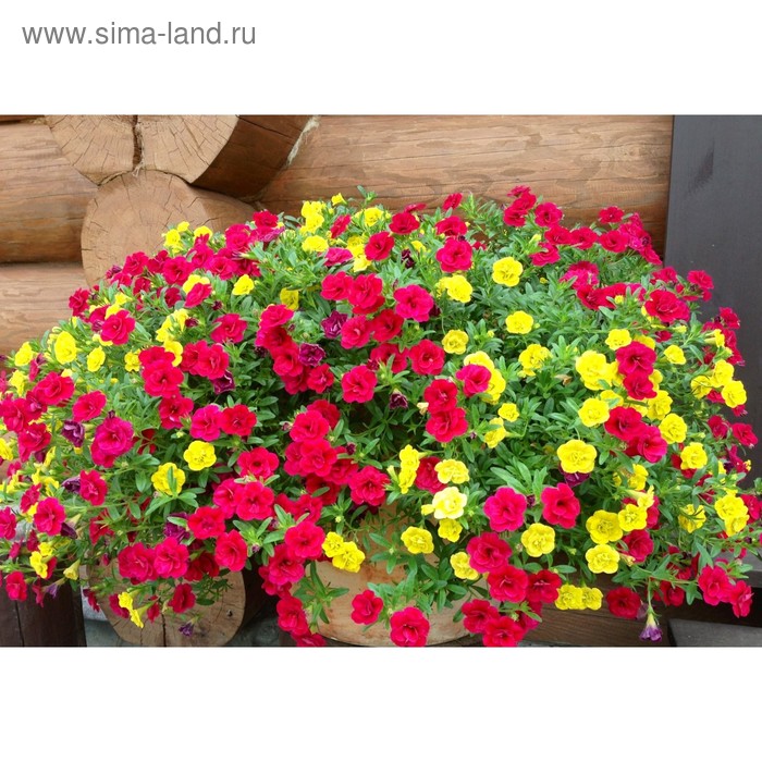 Container Gardening Container gardening, Container herb garden, Container garden