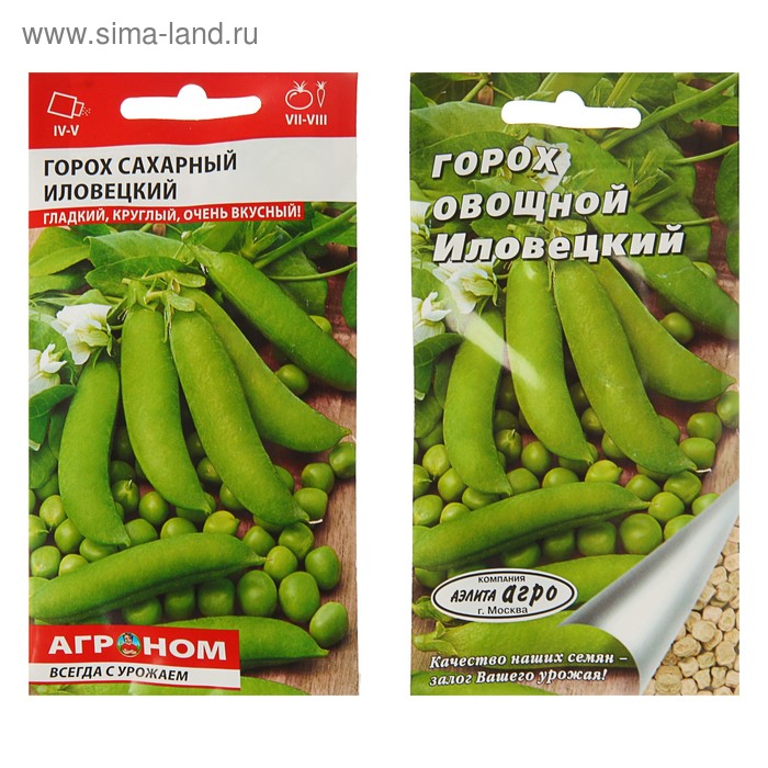 Семена Горох овощной "Иловецкий", 5 г - Фото 1