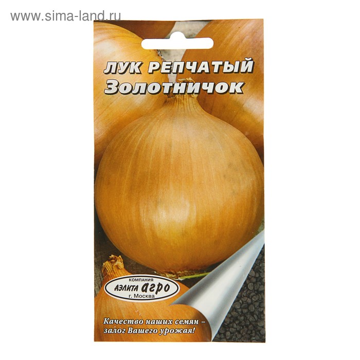 Лук репчатый Золотничок