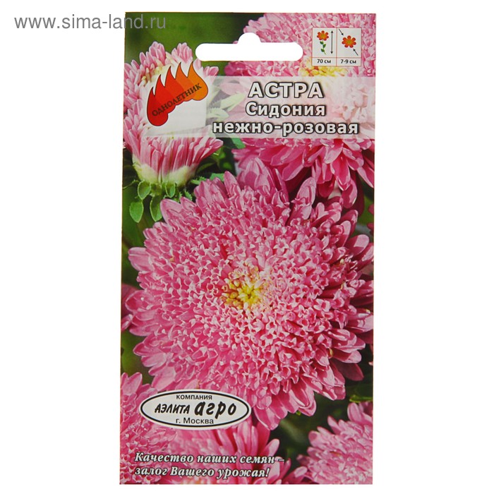 Семена цветов Астра "Сидония" нежно-розовая, О, 0,2 г - Фото 1