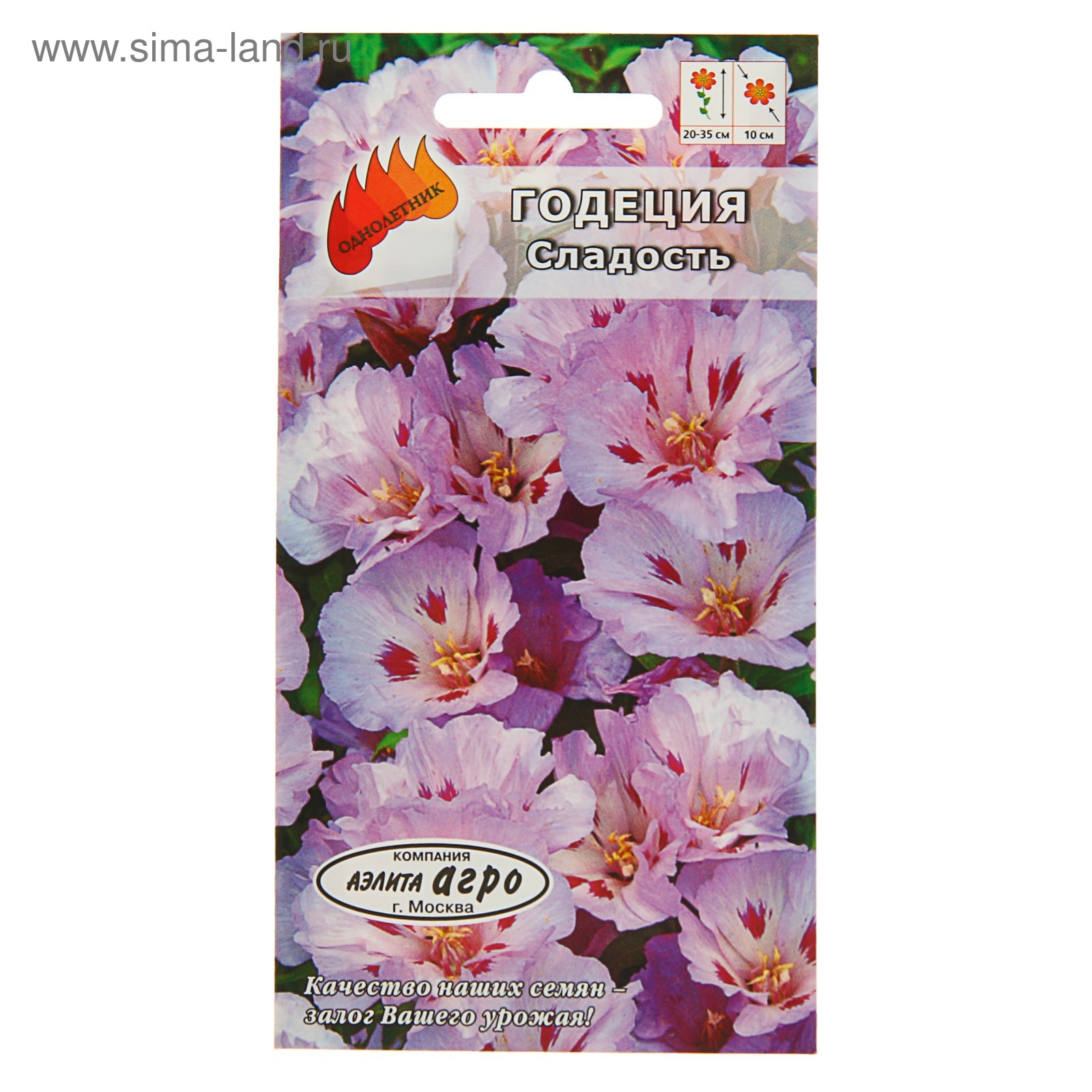 Годеция семена фото Годеция семена фото