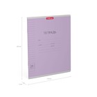 Тетрадь 24 листа в линейку ErichKrause Visio "Классика", обложка мелованный картон, блок офсет, белизна 100% белизны, фиолетовая (комплект 20 шт) - фото 23786032