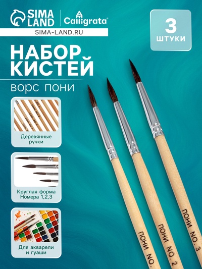 Набор кистей для рисования, пони, 3 штуки: № 1, 2, 3, круглые, деревянная ручка, международный размер