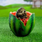 Фигурное кашпо для цветов «Арбуз», 14×17 см, полистоун - Фото 1