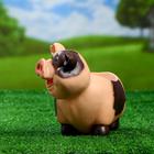 Фигурное кашпо "Свинка маленькая", 19х24 см - Фото 2