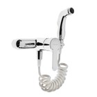 Смеситель Accoona A3167, однорычажный, с гигиенической лейкой, силумин, хром - Фото 1