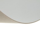 Картон переплётный (обложечный) 2.0 мм, 30 х 40 см, 1250 г/м2, белый - Фото 3