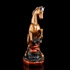 Статуэтка "Конь на дыбах", бронзовый цвет, гипс, 38 см, микс - Фото 2