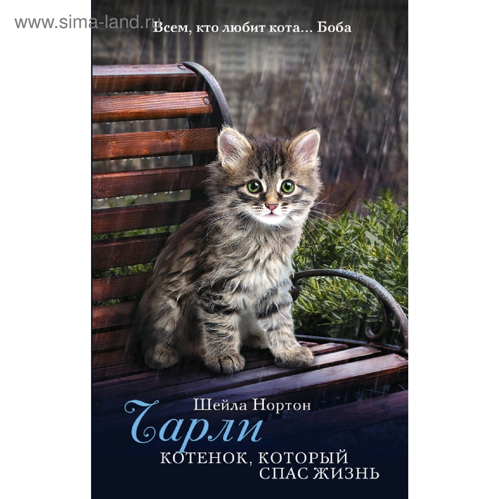 Порядок книг коты воители эрин хантер. Котенок, который спас жизнь". Коты детективы порядок книг. Кот который по порядку. Игрушка кот который угадывает.