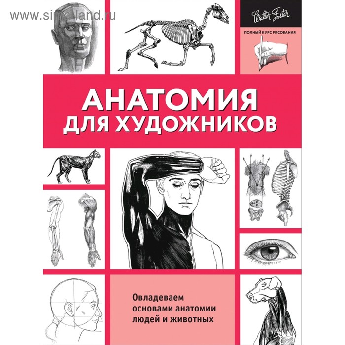 Анатомия для художников 418₽