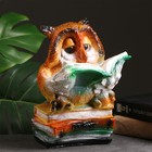 Копилка для денег «Сова с книгами», гипс, 17×18×27 см - Фото 1