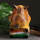 Копилка для денег «Сова с книгами», гипс, 17×18×27 см - Фото 3