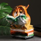 Копилка для денег «Сова с книгами», гипс, 17×18×27 см - Фото 4