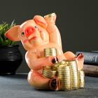 Копилка "Свинка с монетами" 19х21х13см - Фото 1