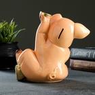 Копилка "Свинка с монетами" 19х21х13см - фото 20555079