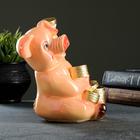 Копилка "Свинка с монетами" 19х21х13см - Фото 4