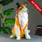 Копилка для денег «Колли», гипс, 35×34×55 см - Фото 1