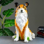 Копилка для денег «Колли», гипс, 35×34×55 см - Фото 2