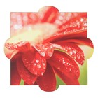 Шкатулка фанера "Цветок" (набор 6 деталей) 16х15х5 см - Фото 3