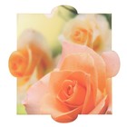 Шкатулка фанера "Розы" (набор 6 деталей) 16х15х5 см - Фото 3