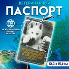 Международное свид-во "О вакцинации собаки", 10,3 х 15,1 см - фото 842051