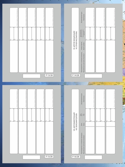 Ветеринарный паспорт «Для кошки», 10.3×15.1 см, 28 страниц