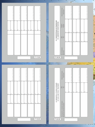 Ветеринарный паспорт «Для кошки», 10.3×15.1 см, 28 страниц