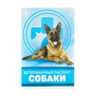 Ветеринарный паспорт "Для собаки", 36 страниц, 10,3 х 15,1 см - Фото 3