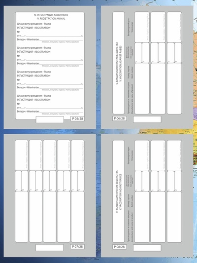 Ветеринарный паспорт "Мой лучший друг", 10,3 х 15,1 см