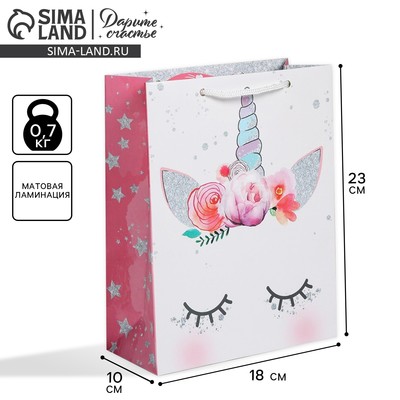 Пакет подарочный ламинированный, упаковка, «Мечтай», MS 18 х 23 х 10 см