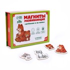 Развивающие магниты «Мамы и малыши», 16 шт. - Фото 3