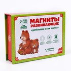 Развивающие магниты «Мамы и малыши», 16 шт. - Фото 4
