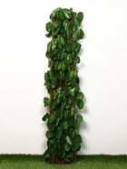 Ограждение декоративное, 200×75 см, «Лист ольхи», Greengo - Фото 6