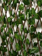 Ограждение декоративное, 200×75 см, «Лист берёзы», Greengo - Фото 4