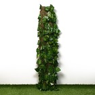 Ограждение декоративное, 200 × 75 см, «Лист берёзы», Greengo - Фото 5